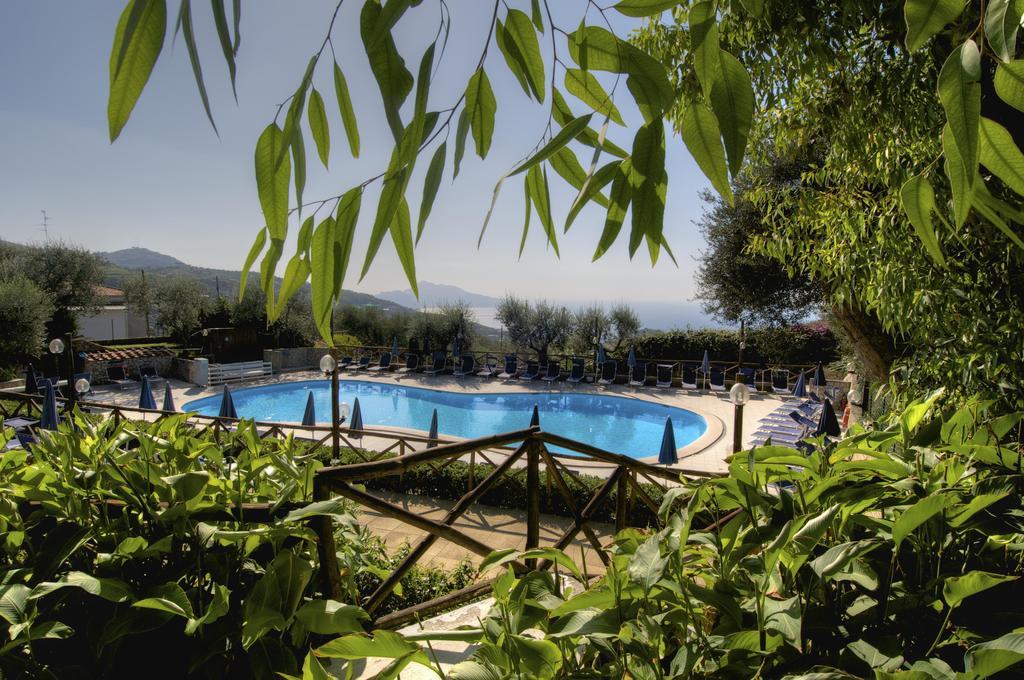 Freedom Holiday Residence Massa Lubrense Exterior photo